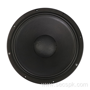 18inch party stage concert opera speaker